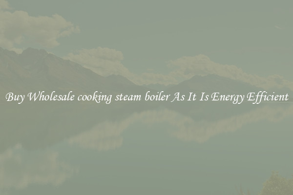 Buy Wholesale cooking steam boiler As It Is Energy Efficient