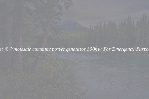 Get A Wholesale cummins power generator 300kw For Emergency Purposes