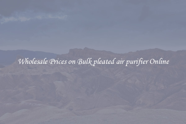 Wholesale Prices on Bulk pleated air purifier Online