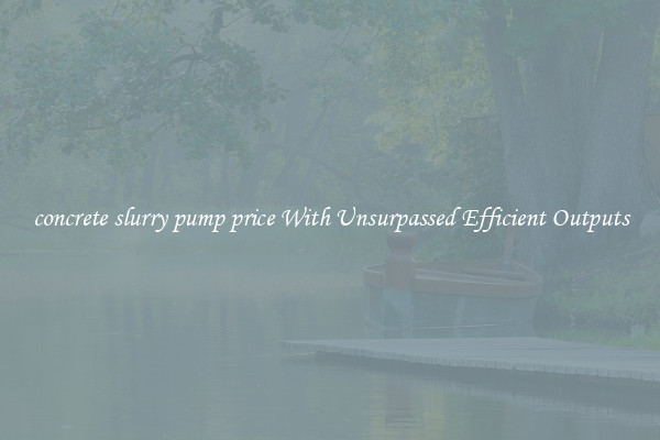 concrete slurry pump price With Unsurpassed Efficient Outputs