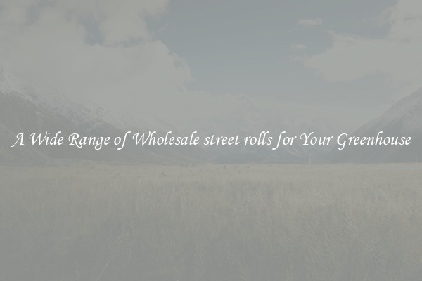 A Wide Range of Wholesale street rolls for Your Greenhouse