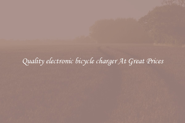 Quality electronic bicycle charger At Great Prices