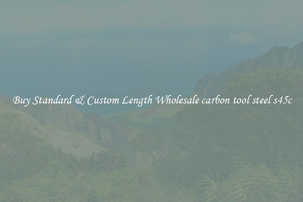 Buy Standard & Custom Length Wholesale carbon tool steel s45c