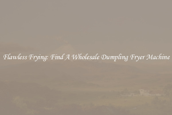 Flawless Frying: Find A Wholesale Dumpling Fryer Machine