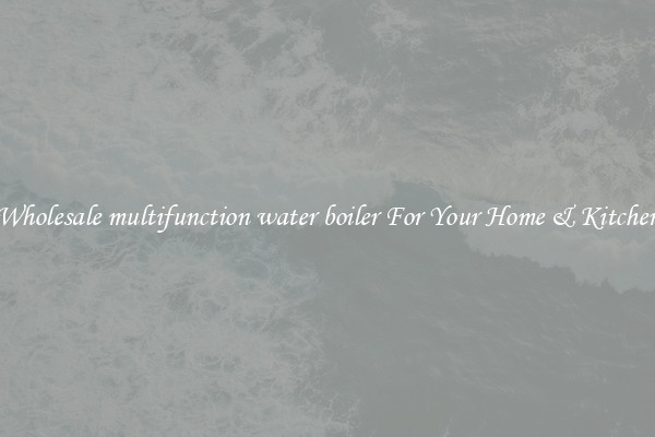Wholesale multifunction water boiler For Your Home & Kitchen