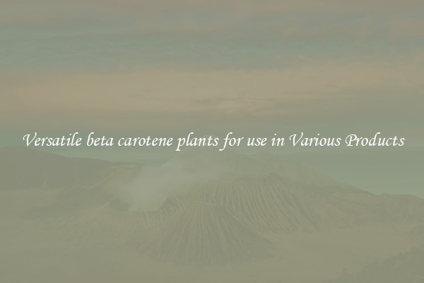 Versatile beta carotene plants for use in Various Products