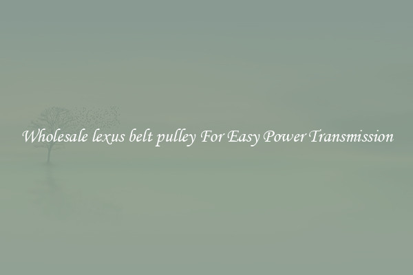 Wholesale lexus belt pulley For Easy Power Transmission