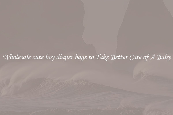 Wholesale cute boy diaper bags to Take Better Care of A Baby