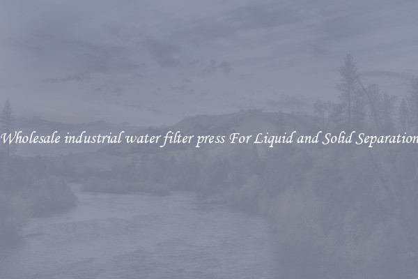 Wholesale industrial water filter press For Liquid and Solid Separation