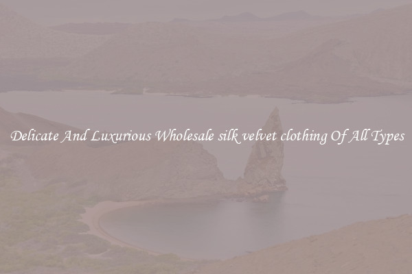 Delicate And Luxurious Wholesale silk velvet clothing Of All Types