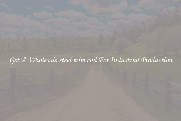 Get A Wholesale steel trim coil For Industrial Production