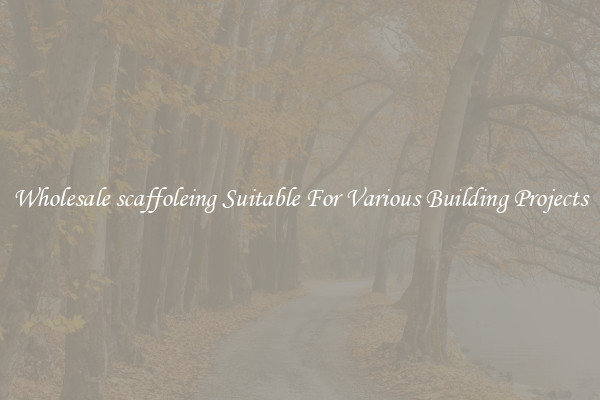 Wholesale scaffoleing Suitable For Various Building Projects
