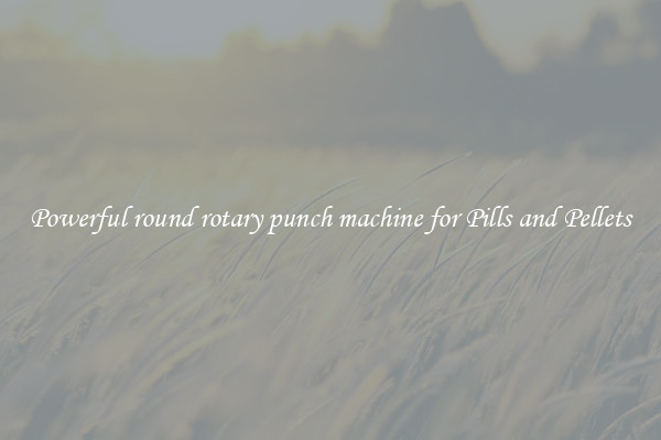 Powerful round rotary punch machine for Pills and Pellets