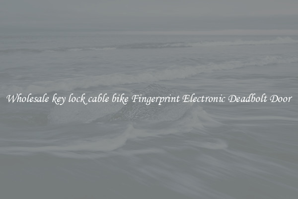 Wholesale key lock cable bike Fingerprint Electronic Deadbolt Door 