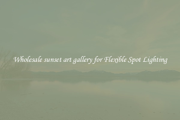 Wholesale sunset art gallery for Flexible Spot Lighting