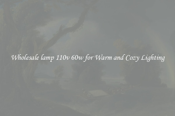 Wholesale lamp 110v 60w for Warm and Cozy Lighting