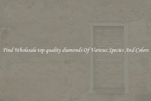 Find Wholesale top quality diamonds Of Various Species And Colors