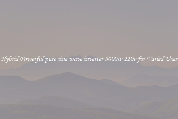 Hybrid Powerful pure sine wave inverter 5000w 220v for Varied Uses