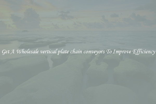 Get A Wholesale vertical plate chain conveyors To Improve Efficiency
